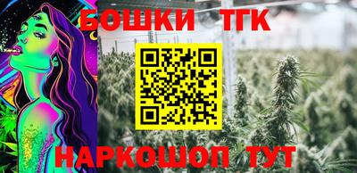 СК Гусь-Хрустальный